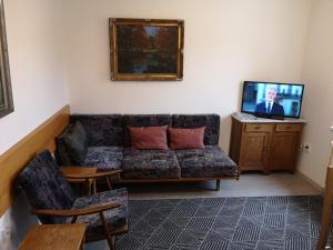 a living room with a couch and a tv at Apartmán U kostela in Železná Ruda