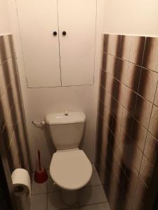 La salle de bains est pourvue de toilettes blanches et d'un miroir. dans l'établissement Apartmán U kostela, à Železná Ruda