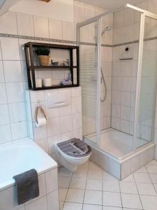 een badkamer met een douche, een toilet en een wastafel bij Ferienwohnung Fernblick in Osdorf