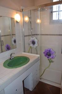 y baño con lavabo verde y ducha. en Gîte La Chênaie, maison ancienne pour 13 personnes- Clévacances 3 clés, en Castella 18 fotos más