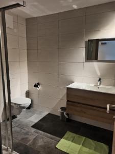 a bathroom with a toilet and a sink at Stefflgut Appartements in Maishofen