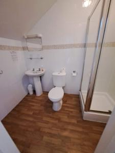 uma casa de banho com um WC e um lavatório em Hildebrand Guest House em Tenby