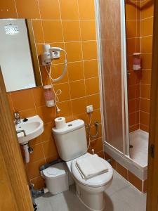 a bathroom with a toilet and a sink and a shower at Hostal Flat55Madrid in Madrid +49 photos