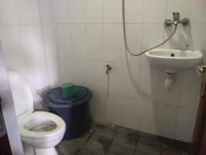 een badkamer met een toilet en een wastafel bij MATRONA in Bajawa