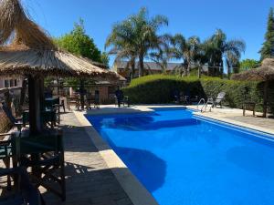 a swimming pool with chairs and a straw umbrella at Cabañas Peumayen in Colón