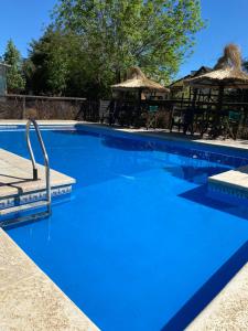 una gran piscina azul con sillas y sombrillas en Cabañas Peumayen en Colón