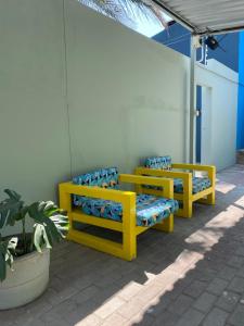 trois bancs jaunes assis à côté d'un mur dans l'établissement Nambani House, à Windhoek