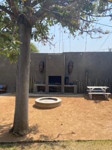 a wall with a bench and a table and a tree at Nambani House in Windhoek