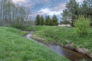 a stream in a field with grass and trees at Pirtis link Moletu in Vilnius