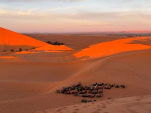 Gallery image of merzouga berber tents in Hassilabied