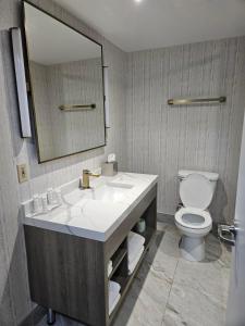 a bathroom with a sink and a toilet and a mirror at Radisson Hotel Montreal Airport in Saint-Laurent