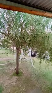 un árbol en un patio junto a una valla en El Rincon de Jose Luis - Cabañas y Restaurante in 