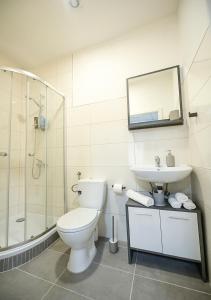 een badkamer met een toilet, een wastafel en een douche bij GLOW Apartment in Maagdenburg