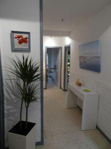 un couloir avec un bureau et une plante en pot dans l'établissement Grande maison 3 chambres - Jardin, terrasse et parking - Bord de mer, à Torreilles