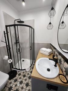 uma casa de banho com um chuveiro e um lavatório branco em CityCenterApartments/KSS2 em Bielsko-Biala