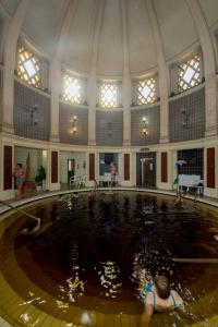 Hosté ubytování Hotel Tisza és Thermálfürdő