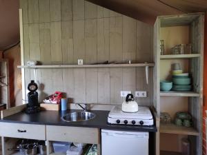 a small kitchen with a sink and a stove at Camping De Boerinn in Kamerik +14 photos