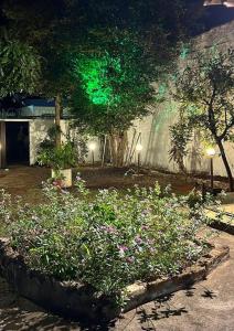 um jardim com flores e plantas em frente a um edifício em Suíte c/ar e varanda perto do Parque de Exposições em Patos de Minas