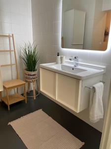 a bathroom with a white sink and a mirror at Stunning apartment by MAS in Antwerp