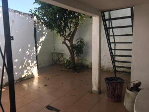 a patio with a tree and a stair case at La casa de la abuela in Rivera