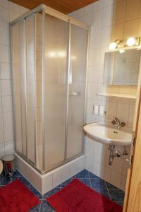 ザンクト・レオンハルト・イム・ピッツタールにあるBirkenheimのバスルーム(シャワー、シンク付)