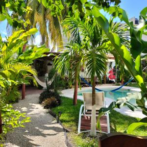 um pátio de resort com uma cadeira e uma piscina em teki-sha home&suites em Bacalar