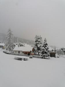Strausshaus v zime