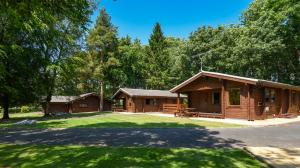 a cabin in the woods with a large yard at Pinecroft Lodges in Ingleton