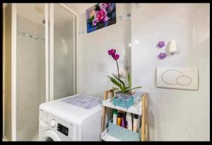 a laundry room with a washing machine and a plant at Palazzo Wanny Free Parking & Terrace in Florence