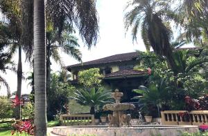 a fountain in front of a house with palm trees at Hidden oasis in Mandeville