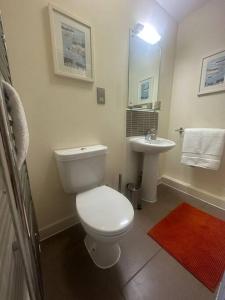 ein Badezimmer mit einem weißen WC und einem Waschbecken in der Unterkunft The Drake Apartment in Plymouth