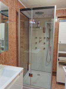 eine Dusche mit Glastür im Bad in der Unterkunft Cabana Speranta in Porumbacu de Sus