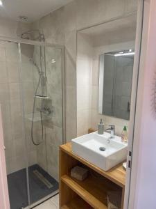 La salle de bains est pourvue d'un lavabo et d'une douche avec un miroir. dans l'établissement Cosy's Terrasse, à Larmor-Plage