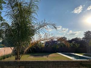 a palm tree sitting next to a swimming pool at Self contained flat in Sandton