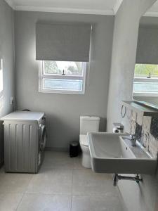 a bathroom with a sink and a toilet and a window at Self contained flat in Sandton