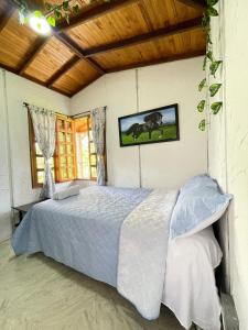 een slaapkamer met een bed in een kamer bij Xplora Hostel in Caldas
