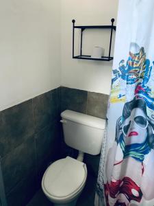 a bathroom with a toilet and a shower curtain at Hostel Casa Blanca in San Luis