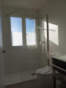 馬德里的住宿－HOSTAL LA ESTACION TERRAZAS，带淋浴和卫生间的浴室以及窗户。