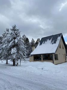 a house with snow on the roof and a tree at WoodAvenue in Blidinje