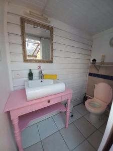 a bathroom with a pink sink and a toilet at Chez Anne - Aux Délices de Maurice in Saint Martin