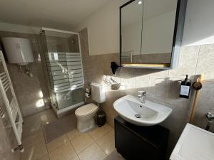 La salle de bains est pourvue d'un lavabo, de toilettes et d'un miroir. dans l'établissement Coy Apartments Vienna #3, à Vienne