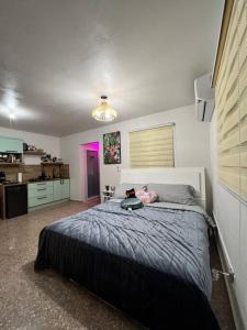 un dormitorio con una cama con un gato sentado en ella en Playa y Campo Balcony Studio en Isabela