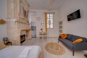 a living room with a couch and a fireplace at Charming hypercentre apartment Bordeaux in Bordeaux