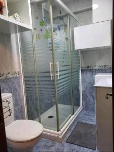 y baño con ducha, aseo y lavamanos. en San Lorenzo 11, en Gijón