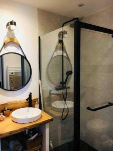 a bathroom with a shower and a sink and a mirror at Chez Julie in Castres