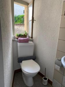a bathroom with a white toilet and a window at Vivez un conte de fée dans la pièce ronde d'une tour médiévale in Porrentruy
