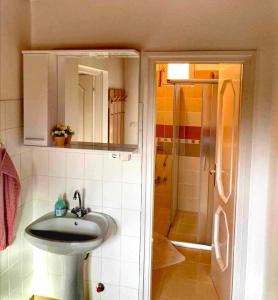 a bathroom with a sink and a shower at Flower Tisza Vendégház in Tiszafüred