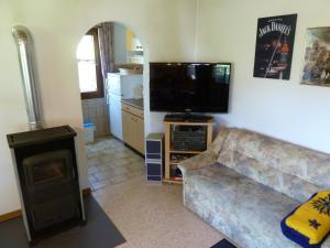 ein Wohnzimmer mit einem Sofa und einem Flachbild-TV in der Unterkunft Ferienhaus mit Kamin , Terrasse und Aussensauna in Pöhla