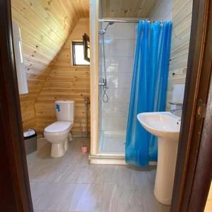 a bathroom with a toilet and a shower and a sink at Kolsay Village in Kurmenty