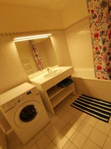 ein Badezimmer mit einer Waschmaschine und einem Waschbecken in der Unterkunft Part-Dieu : splendide 2 pièces calme sur verdure in Lyon